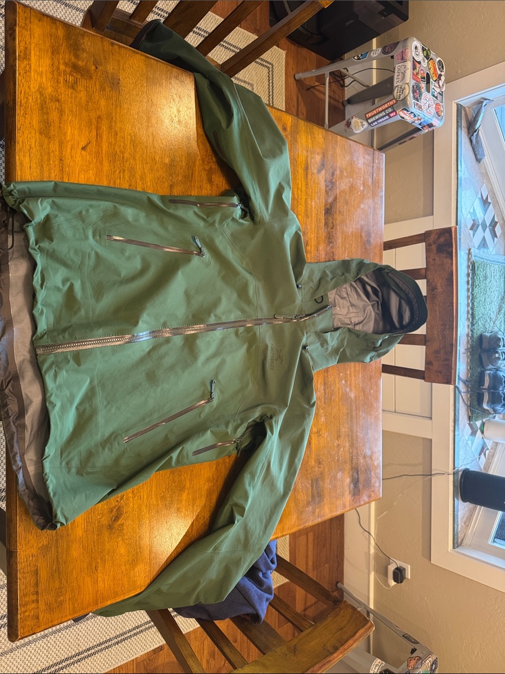 Arc'teryx Beta AR Women's Eden Waterproof Hooded Shell Jacket